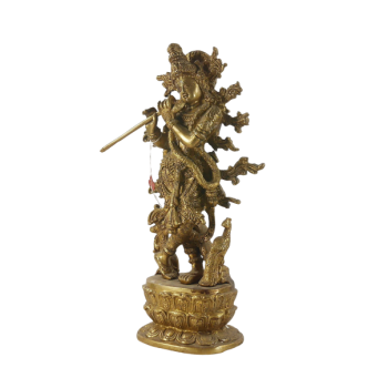 Krishna 07*